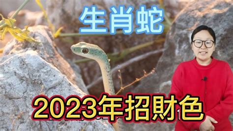 蛇幸運顏色|【屬蛇幸運色】屬蛇人2024年必知的幸運色，讓你整。